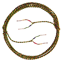 Golden Helix